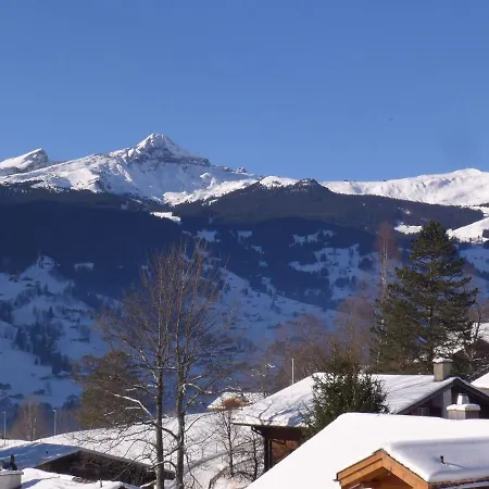 Chalet Mettli Apartment *
