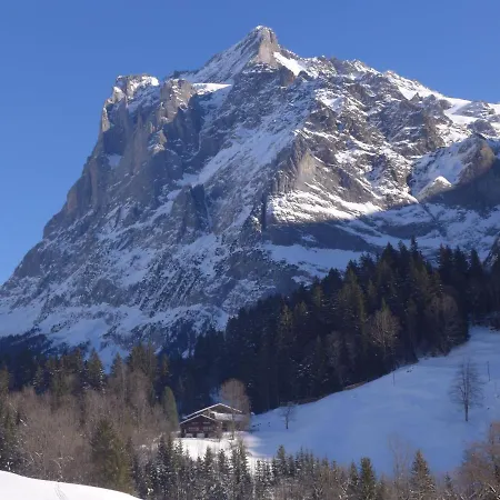 Apartment Chalet Mettli Grindelwald
